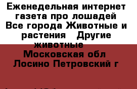 Еженедельная интернет - газета про лошадей - Все города Животные и растения » Другие животные   . Московская обл.,Лосино-Петровский г.